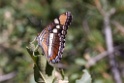 27_Big Bend National Park_10